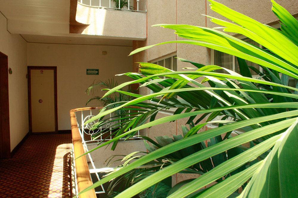 Hotel Mina Mexico City Eksteriør billede